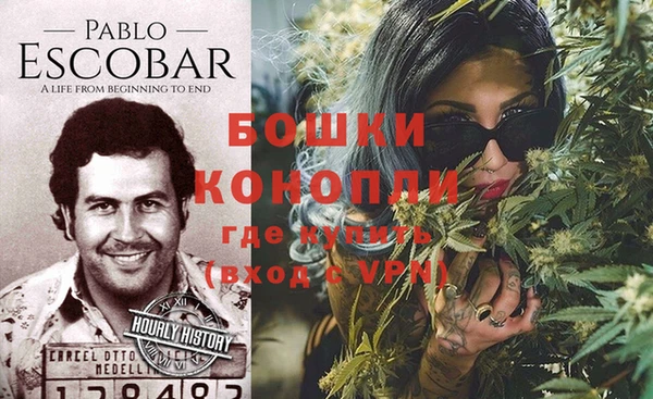 стаф Майский