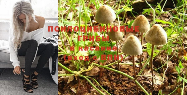 прущая мука Сураж