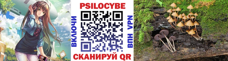 где найти наркотики  ОМГ ОМГ вход  Псилоцибиновые грибы Cubensis  Темрюк 