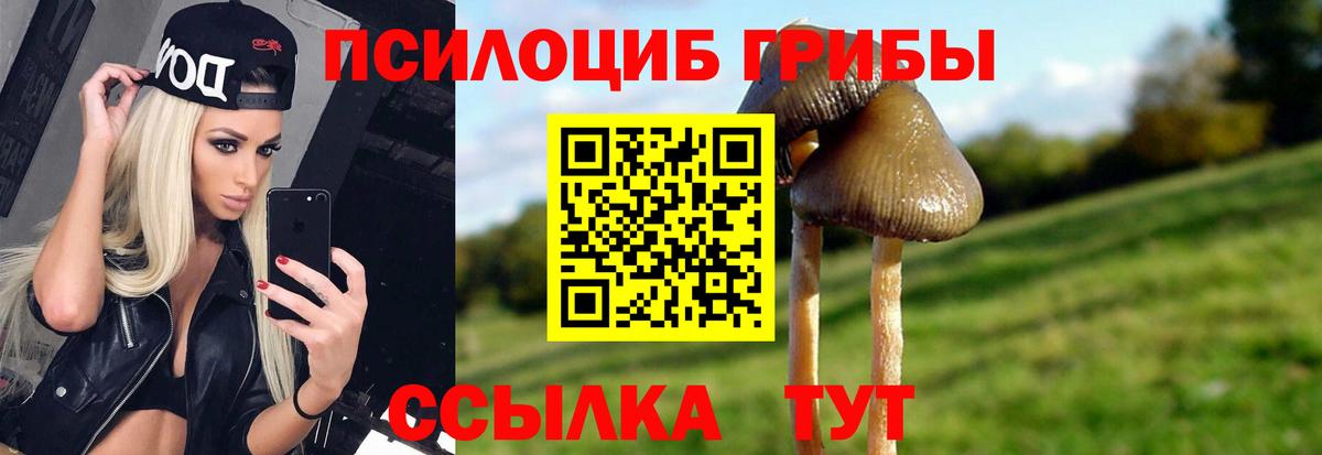 Галлюциногенные грибы Magic Shrooms Темрюк